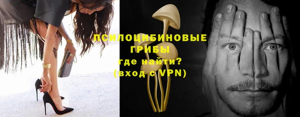 метадон Няндома