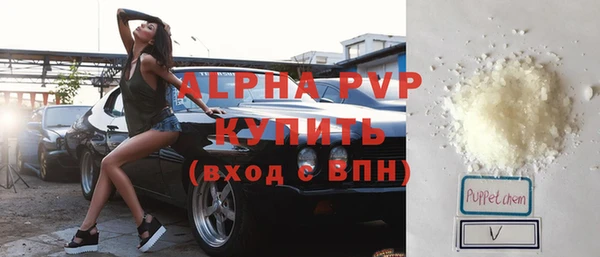 сатива Аркадак