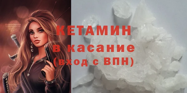 сатива Аркадак