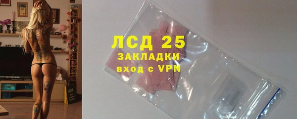 сатива Аркадак