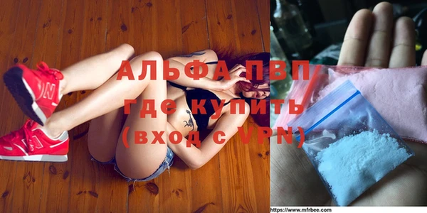 сатива Аркадак