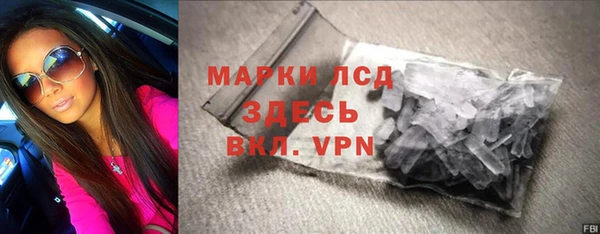 сатива Аркадак