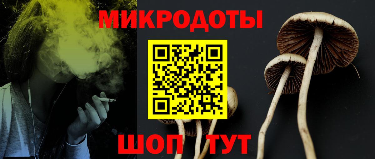 купить   Алушта  Галлюциногенные грибы GOLDEN TEACHER 