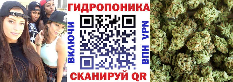 Бошки марихуана Bruce Banner  купить  цена  shop состав  Алушта 