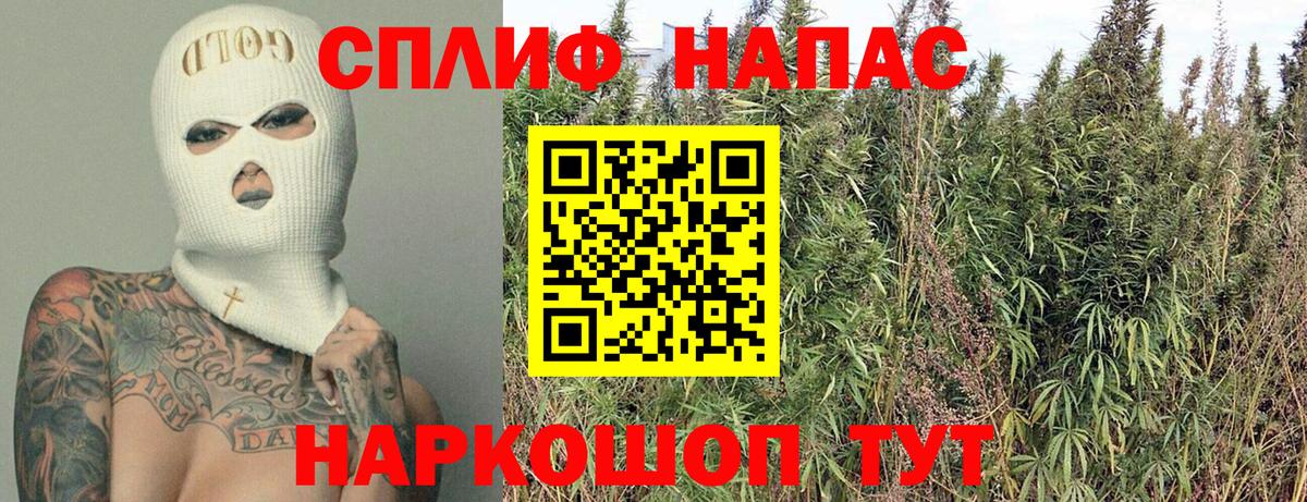 Каннабис планчик Алушта